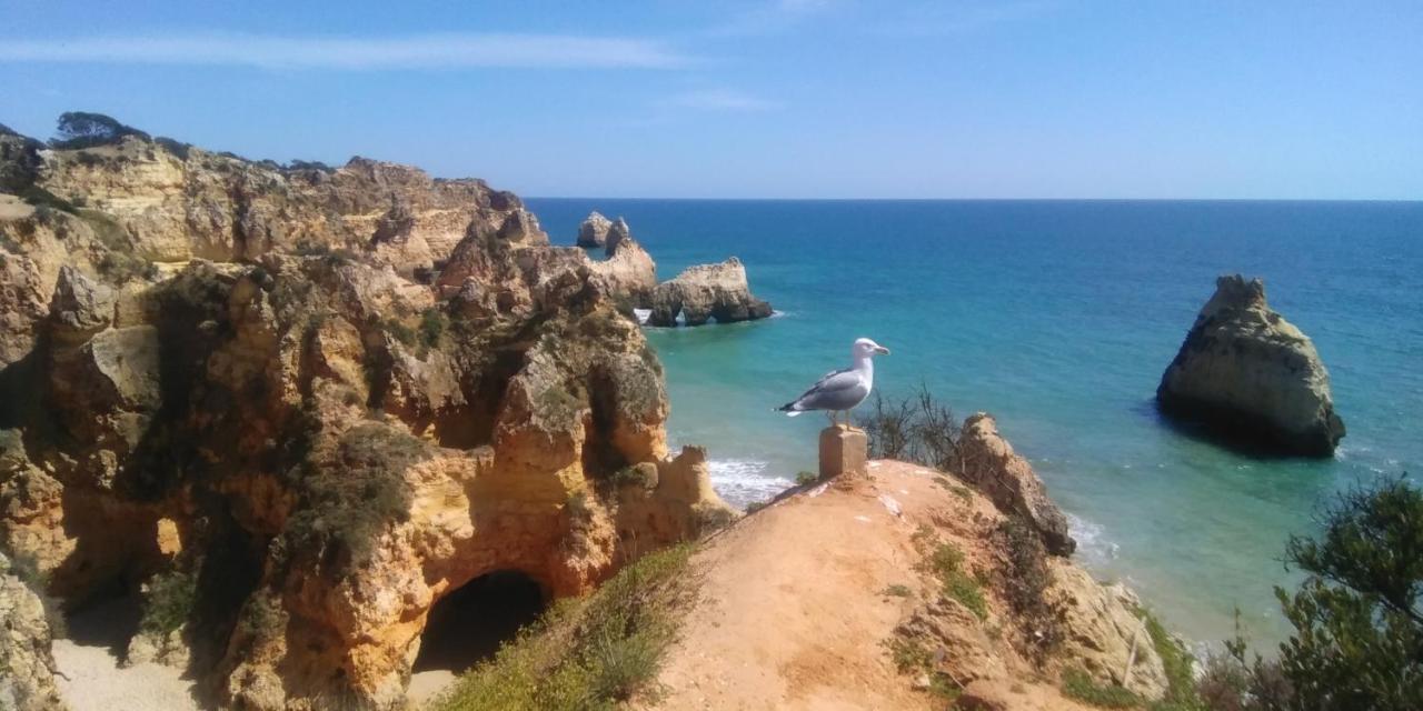 Alburvillage A - Apartamento Novo Em Alvor Exterior photo